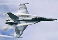 US Navy F-18 Demo Team